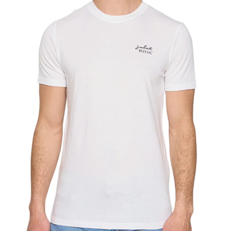 Tekst akapitu – kopia – kopia(24).jpg