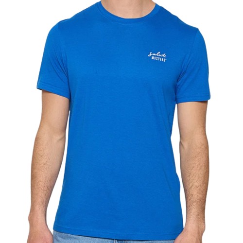 Tekst akapitu – kopia – kopia(27).jpg