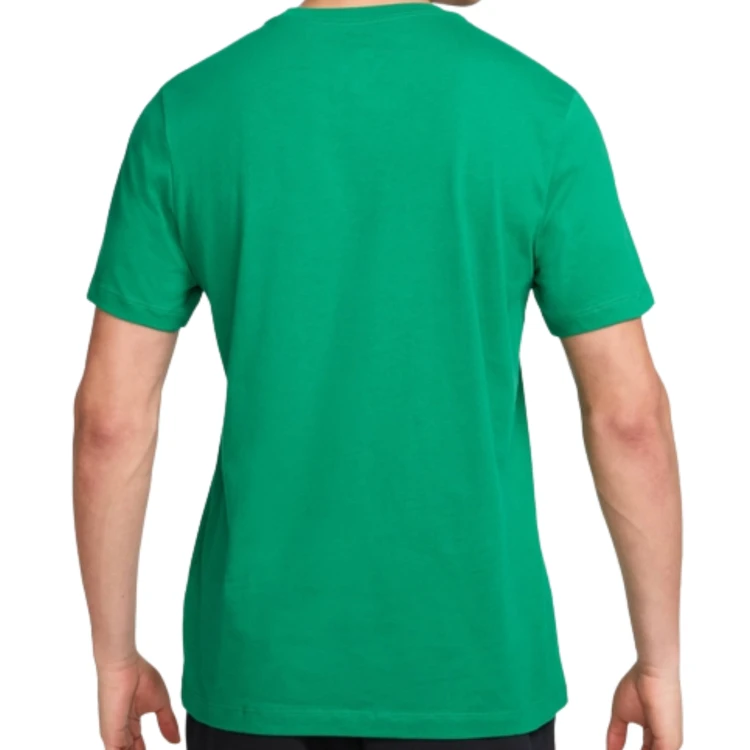 NIKE MĘSKA MŁODZIEŻOWA KOSZULKA T-SHIRT BAWEŁNIANY PREMIUM FZ5377-365